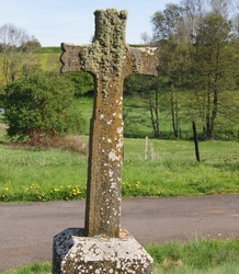Croix moussue