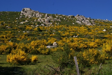 Le Col du Cheval-mort