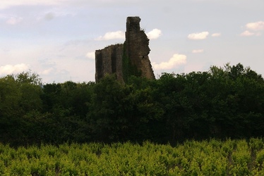 Ruine dans les vignes, la pluie approche