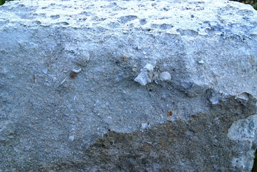 Coquillages du calcaire des bornes